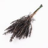 Rosemary, Preserved, Dark Green, 100g