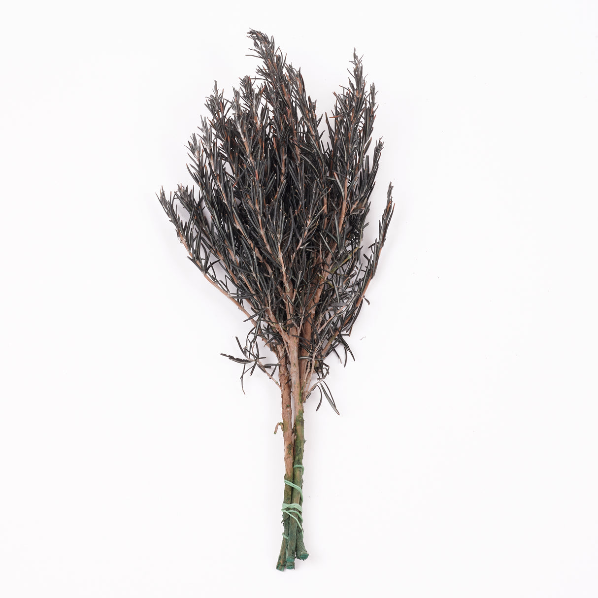 Rosemary, Preserved, Dark Green, 100g