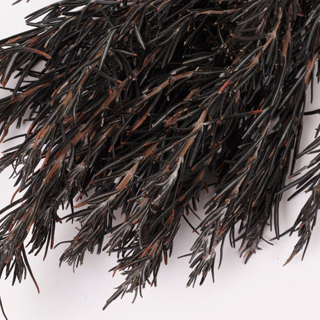 Rosemary, Preserved, Dark Green, 100g