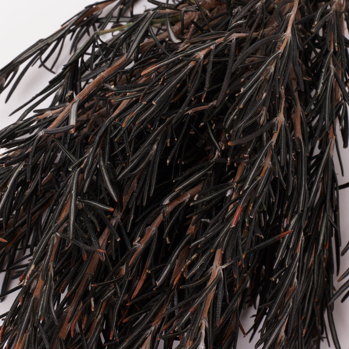 Rosemary, Preserved, Dark Green, 100g