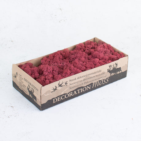 Icelandic Moss, Bordeaux, 500g