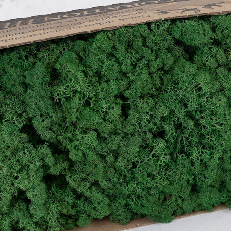 Icelandic Moss, Grass Green, 500g