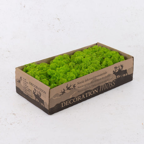 Icelandic Moss, Light Grass Green, 500g