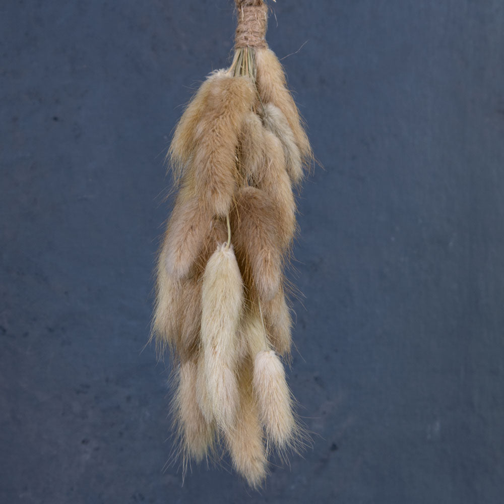 A close up of natural coloured lagurus formed into a little hanging decoration.