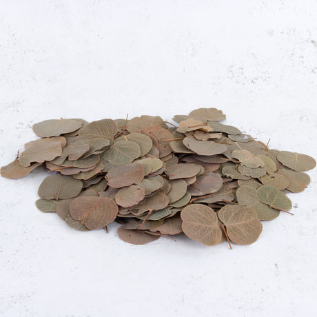 Moneta Leaves, 250g Bag