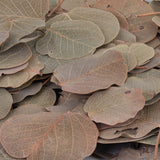 Moneta Leaves, 250g Bag