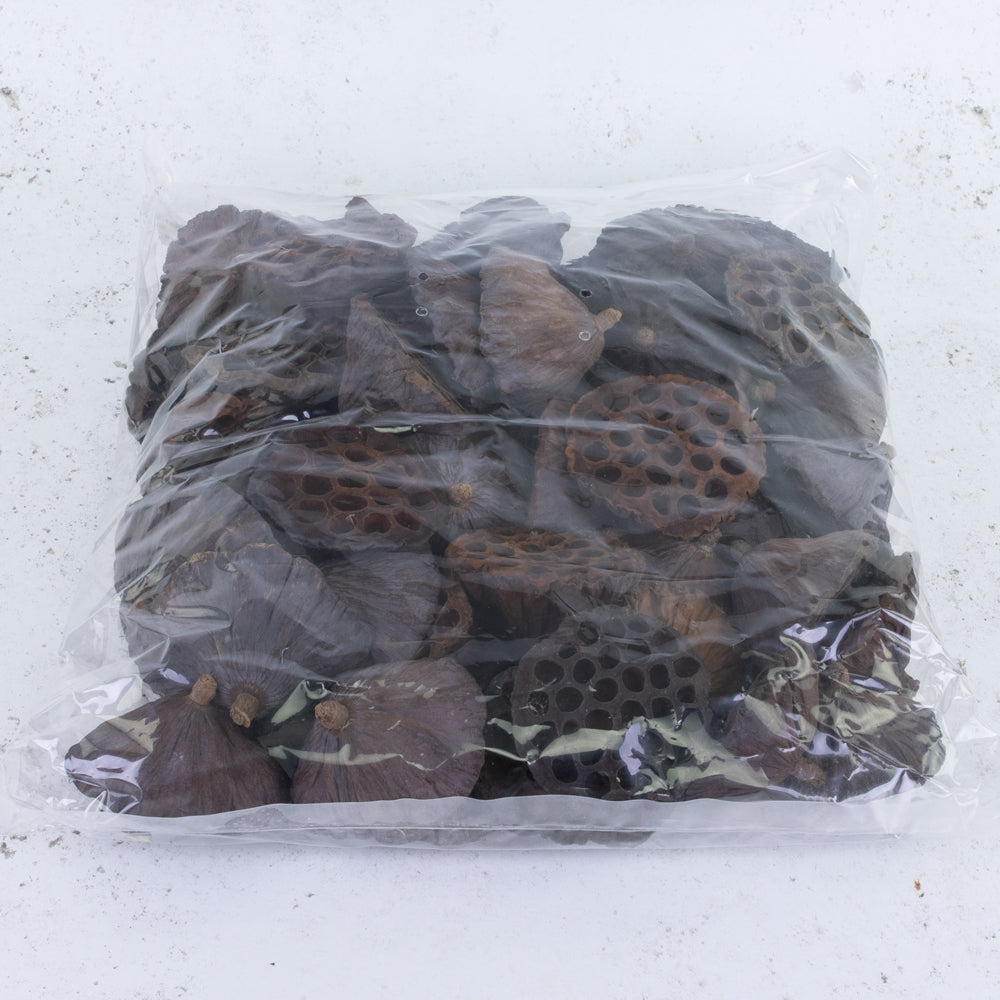 Lotus Heads, Natural, 6-8cm, Bag x 50