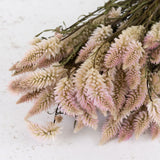 Celosia-Natural-Pink-Bunch