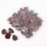 Lotus Heads, Natural, Medium, Bag x 50