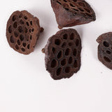 Lotus Heads, Natural, Medium, Bag x 50