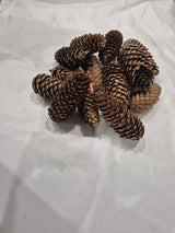Norway Spruce Cones, Natural and Dried, 250g