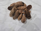 Norway Spruce Cones, Natural and Dried, 250g