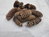 Norway Spruce Cones, Natural and Dried, 250g
