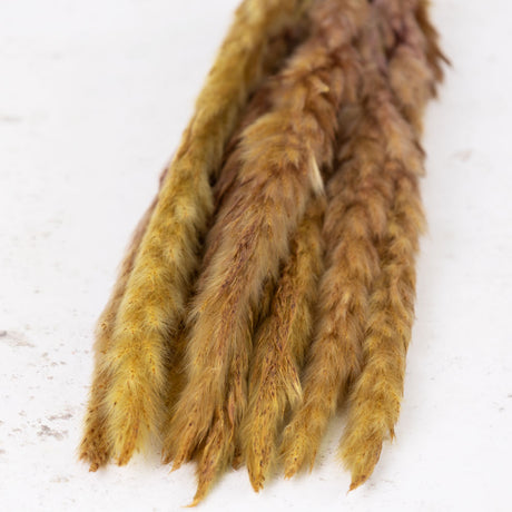 Fluffy Pampas, Yellow, 35g