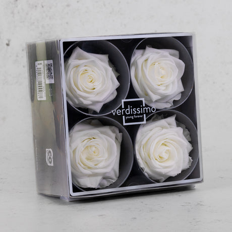 Rose Heads, Preserved, Premium, White, Box x 4