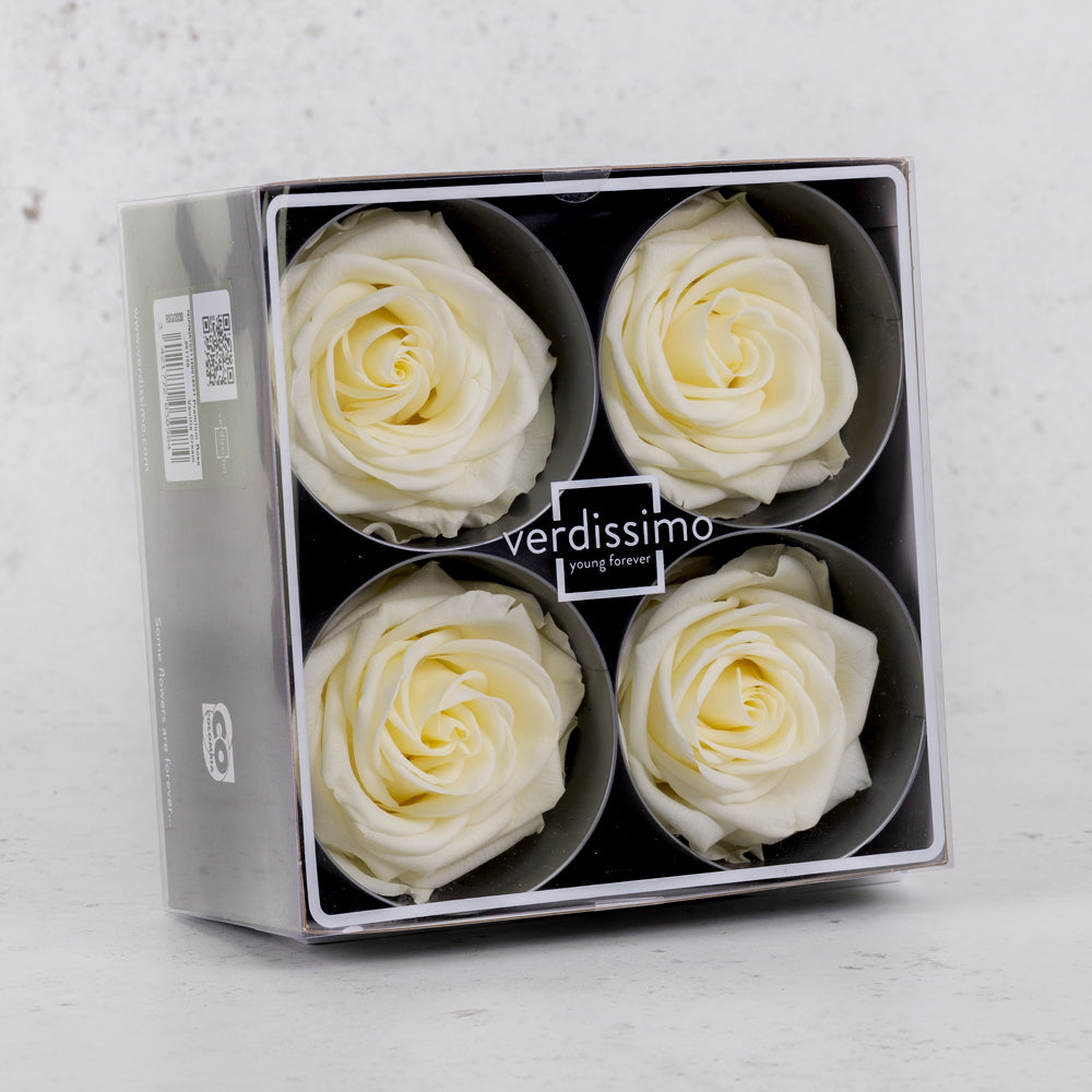 Rose Heads, Preserved, Premium, Vanilla, Box x 4