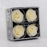 Rose Heads, Preserved, Premium, Vanilla, Box x 4