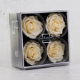 Rose Heads Preserved Premium Champagne Box 4