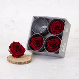 Rose Heads, Preserved, Premium, Burgundy, Box 4