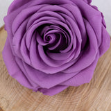 Rose Heads, Preserved, Premium, Lilac, Box x 4