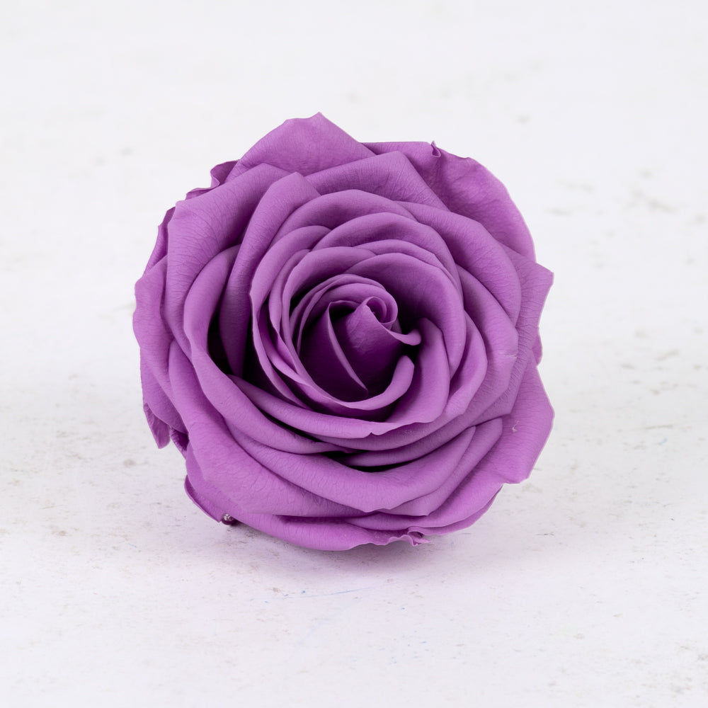 Lilac Ribbon Roses Rose Heads (Verdissimo), Preserved, Premium, Lilac, Box 4 – Atlas Flowers