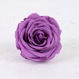 Rose Heads, Preserved, Premium, Lilac, Box x 4