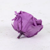 Rose Heads, Preserved, Premium, Lilac, Box x 4