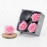 Rose Heads Preserved Premium Pastel Pink Box 4