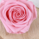 Rose Heads Preserved Premium Pastel Pink Box 4