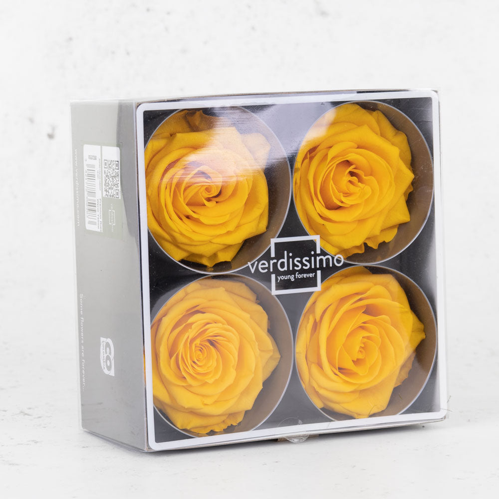 Rose Heads Preserved Prem. Warm Yellow Box x 4