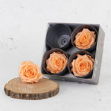 Rose Heads Preserved, Premium, Peach, Box x 4