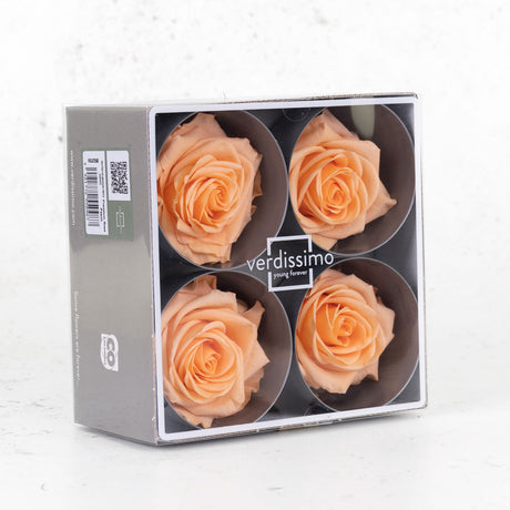 Rose Heads Preserved, Premium, Peach, Box x 4