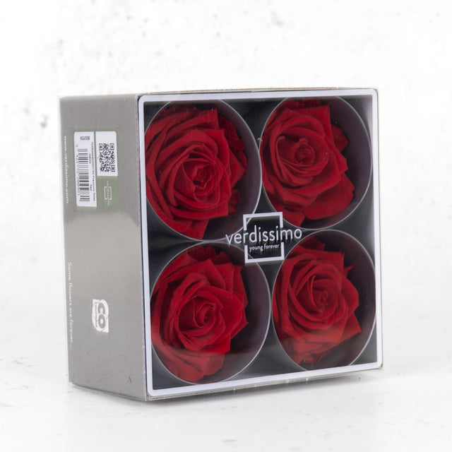 Rose Heads Preserved, Premium, Red, Box x 4