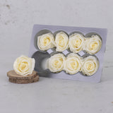 Rose Heads Preserved, Medium, Vanilla, Box 8