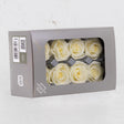 Rose Heads Preserved, Medium, Vanilla, Box 8