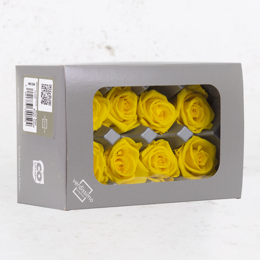 Rose Heads Preserved Medium Bright Yellow Box 8