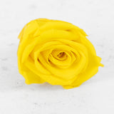 Rose Heads Preserved Medium Bright Yellow Box 8