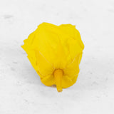 Rose Heads Preserved Medium Bright Yellow Box 8