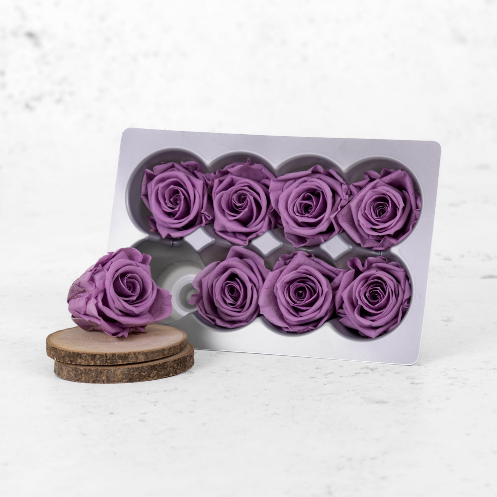Rose Heads, Preserved, Medium, Lilac, Box 8
