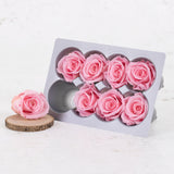 Rose Heads Preserved Medium Pastel Pink Box 8