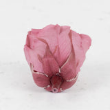 Rose Heads Preserved Med Cherry Vintage Box 8