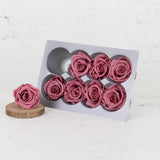 Rose Heads Preserved Med Cherry Vintage Box 8