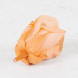 Rose Heads Preserved Medium Peach Box 8