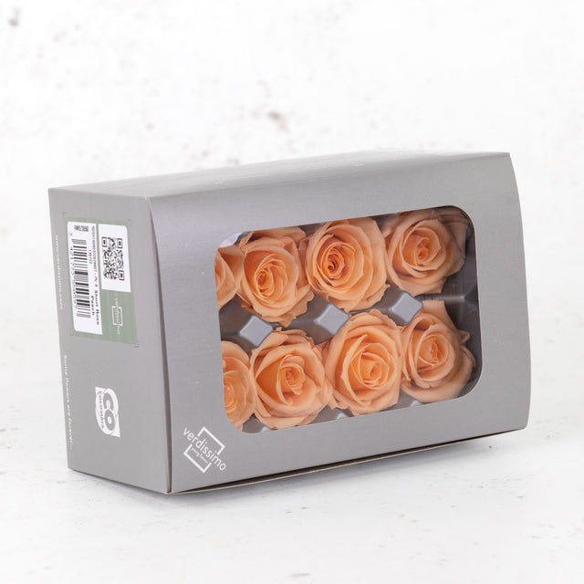 Rose Heads Preserved Medium Peach Box 8