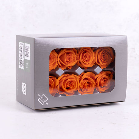 Rose Heads Preserved Med Orange Box 8