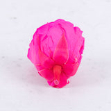 Rose Heads Preserved Med Bright Pink Box 8
