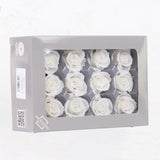 Rose Heads, Preserved, Mini, White, Box 12