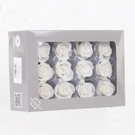 Rose Heads, Preserved, Mini, White, Box 12