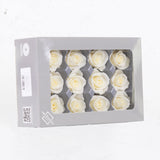 Rose Heads, Preserved, Mini, Champagne, Box 12