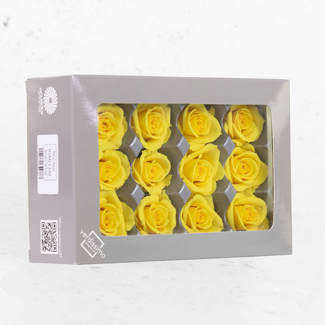 Rose Heads, Preserved, Mini, Bright Yellow, Box 12